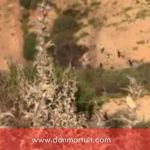 Cientos de inmigrantes intentaron asaltar la valla fronteriza de Ceuta, para entrar a España.