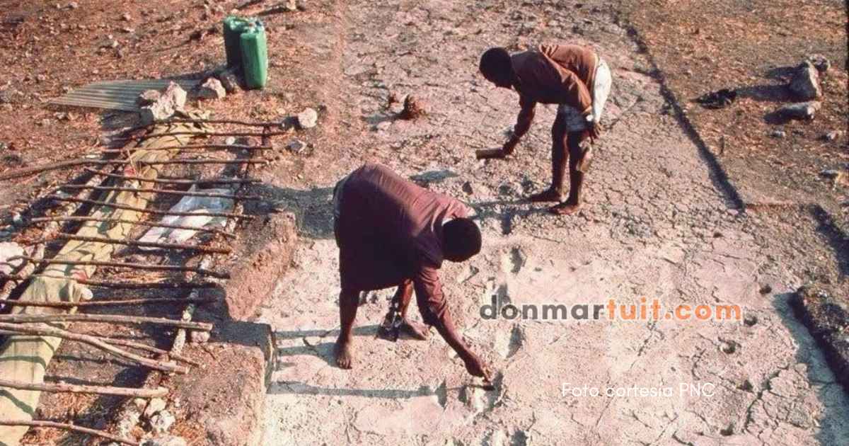 Las huellas de Laetoli, un rastro de pisadas fosilizadas descubierto en Tanzania